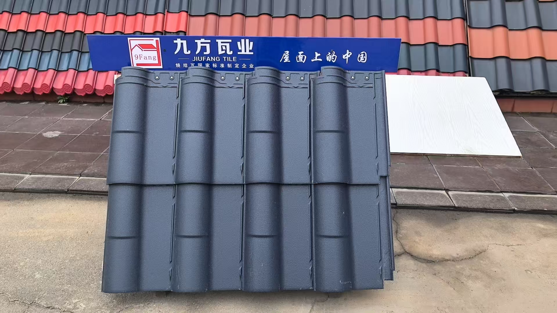 d88尊龙官方网摘要2025第11期